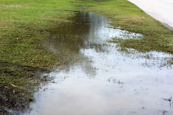 Översvämmad gräsmark vid vägkanten i bonita fjädrar florida — Stockfoto