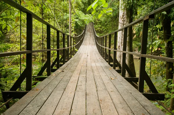 Мост в тропических джунглях Лицензионные Стоковые Фото
