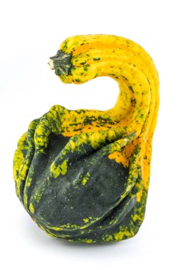 Olağandışı sonbahar squash şeklinde.