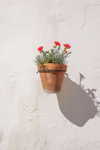 Wall mounted flower pot. — Stock Photo, Image