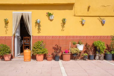 Sarı duvar saksı ile.