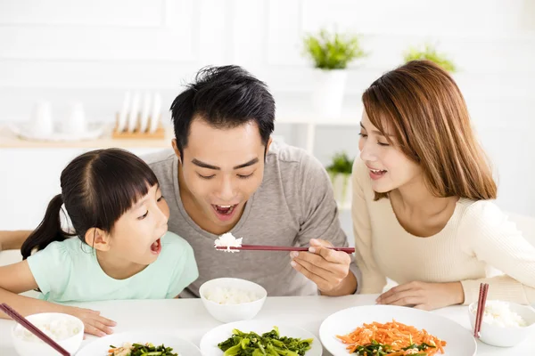 Jonge Aziatische en gelukkige familie genieten van hun lunch — Stockfoto