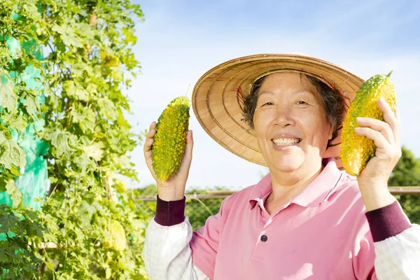 Agricultora senior que trabaja en una granja de verduras — Foto de Stock