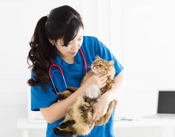 Female Doctor Veterinarian Holding Cute Cat Hand — Stock Photo, Image