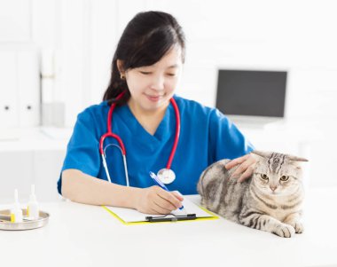 kadın Veteriner bir yavru kedi kedi incelenmesi