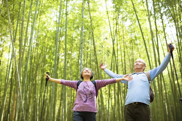 愉快的前辈夫妇徒步旅行在绿色竹林 — 图库照片