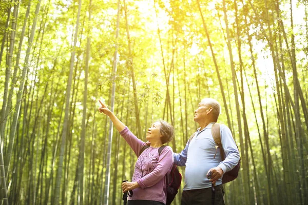 Pasangan Senior Yang Bahagia Hiking Hutan Bambu Hijau — Stok Foto
