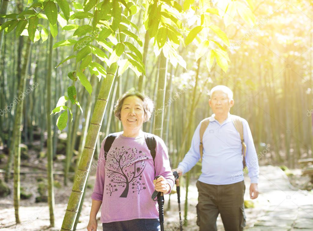 happy Senior Couple hiking in green bamboo forest