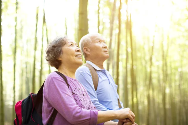 愉快的前辈夫妇徒步旅行在绿色竹林 — 图库照片