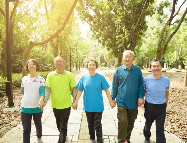 Happy Senior Group Walking Park — Stock Photo, Image
