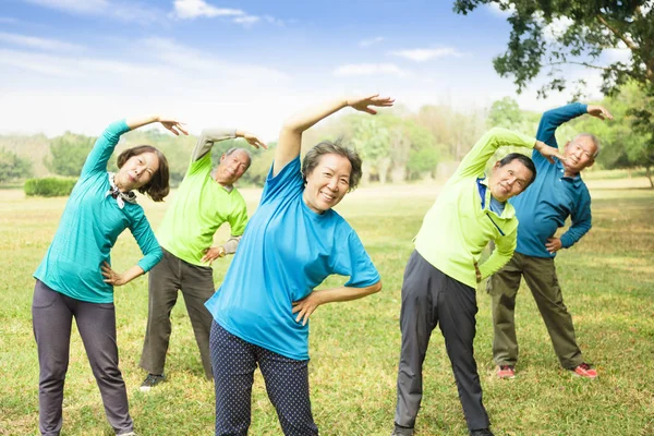 Mutlu Kıdemli Grup Arkadaşları Egzersiz Having Fun — Stok fotoğraf