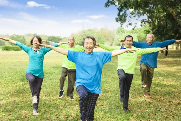 Happy Senior Group Friends Exercise Having Fun — Stock Photo, Image