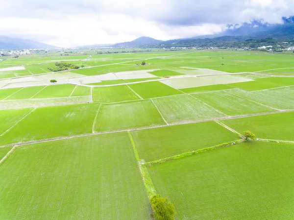 春に田んぼの空撮 — ストック写真