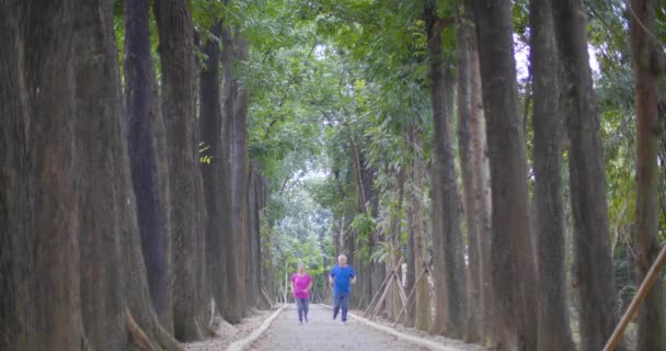 Parkta Çalışan Kıdemli Mutlu Çift — Stok video