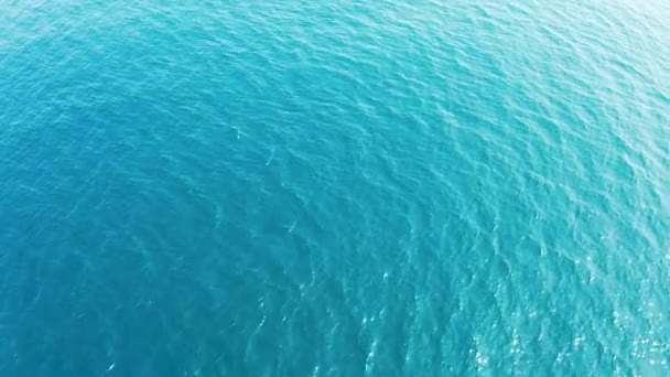 Aerial View Sea Surface — Stock Video
