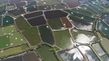 Balık çiftliği ve sahil manzaralı. Tayvan.