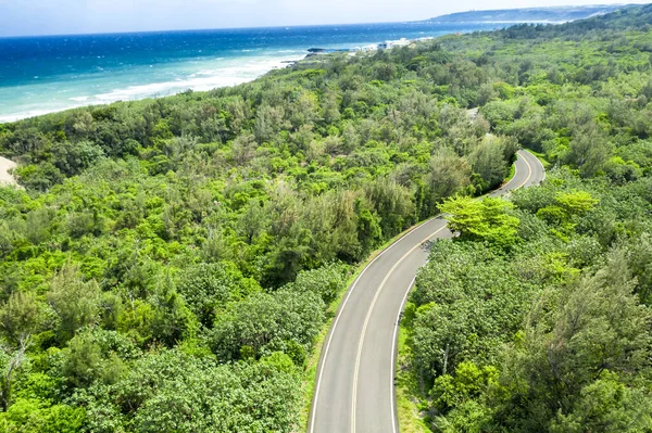 美しい緑の森と海の海岸の道路の空中ビュー — ストック写真