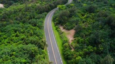 Güzel yeşil orman ve deniz kıyısındaki yol manzarası