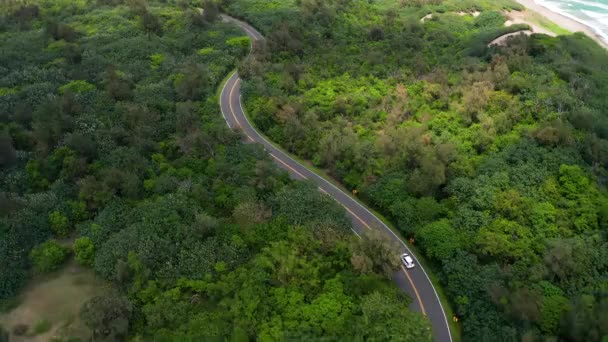 美丽的绿色森林和海滨的空中道路景观 — 图库视频影像