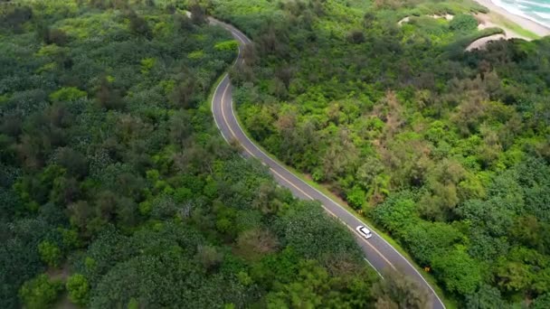 美丽的绿色森林和海滨的空中道路景观 — 图库视频影像