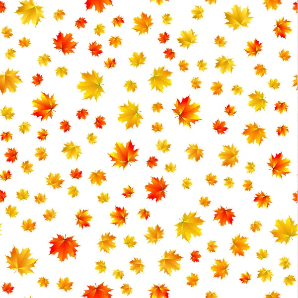 无缝模式的枫树叶在白色背景上 — 图库矢量图片