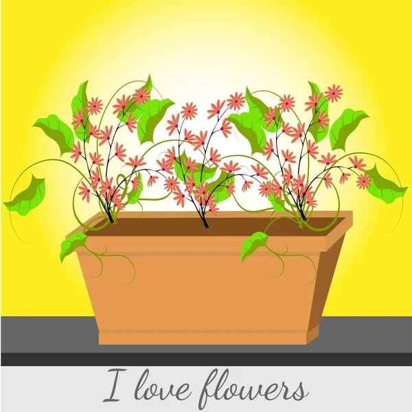 Flowers Grow Box — Stock Vector