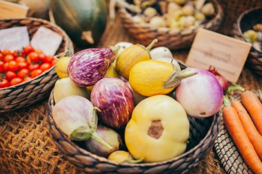  Sebze Bahçe sonbaharda