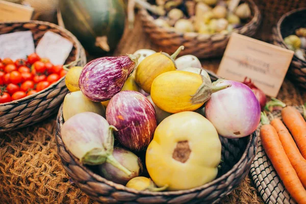  Sebze Bahçe sonbaharda