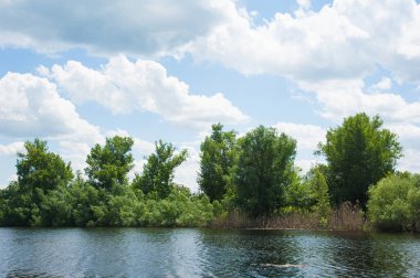 Nehir kıyısında yaz peyzaj