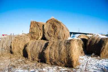 Saman haystacks birlikte birbirlerine kazıklı