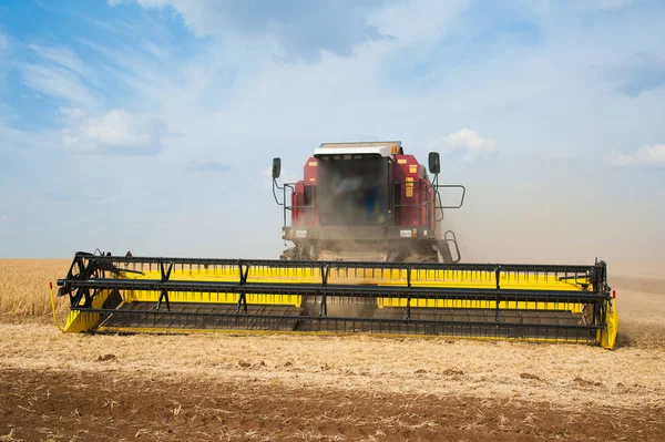 Combine colheitadeiras em um campo de trigo — Fotografia de Stock