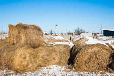 Saman haystacks birlikte birbirlerine kazıklı