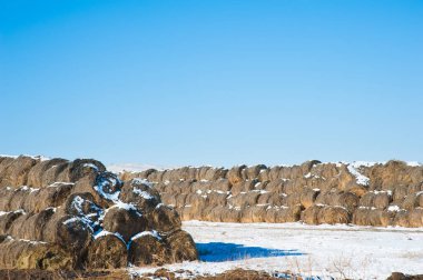 Saman haystacks birlikte kazıklı