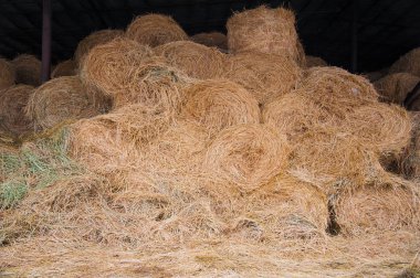 Çiftlikte balya saman dolu saman depolama döken