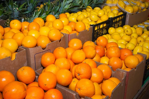 Fruta naranja en el mercado — Foto de Stock