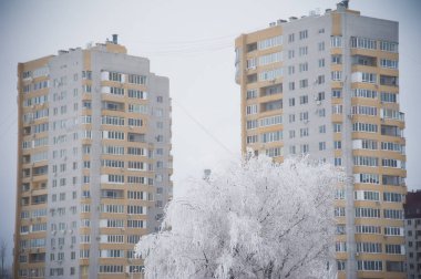 Karla kaplı ağaçlar kış şehir parkında