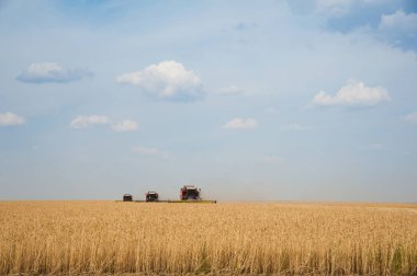 Hasat için buğday tarlasında hasatçıları birleştirin.