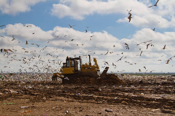 Landfill rubbish bulldozers processing garbage