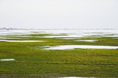 Tahıl alan kar ile kaplı