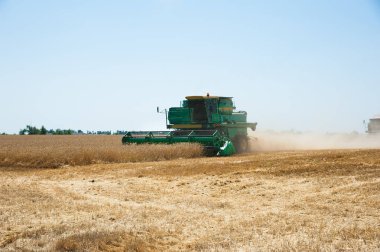 Hasat için buğday tarlasında hasatçıları birleştirin.