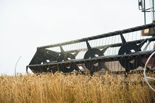 Combine colheitadeiras em um campo de trigo — Fotografia de Stock