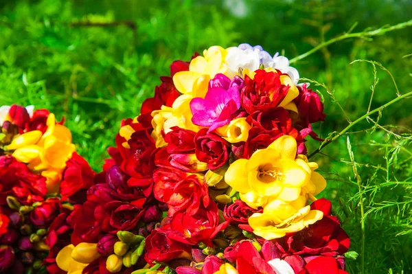 Ramo Varias Freesias Coloridas Fondo Floral —  Fotos de Stock