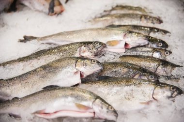 Mağazadaki rafta balık eti ürünü var. Buzda balık yığını