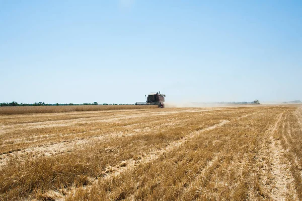 Combineer Oogstmachines Een Tarweveld Oogsten — Stockfoto