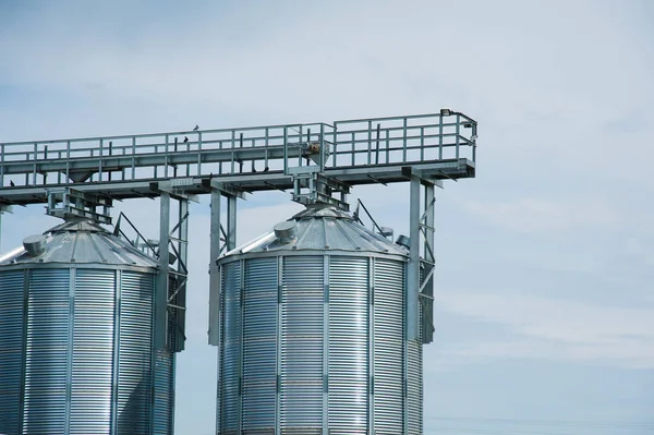 Tarım Bölgesinde Metal Tahıl Asansörü Mavi Gökyüzüne Karşı Tarım Siloları — Stok fotoğraf