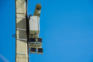 Olgun domates üzerinde şube büyüyor. Bahçede ekili