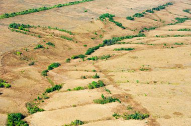 Bir yaz günü çayırların ve tarlaların havadan görünüşü