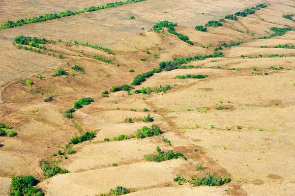Bir yaz günü çayırların ve tarlaların havadan görünüşü