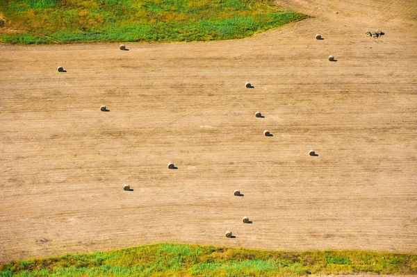 Aerial View Fields Meadows Summer Day — Stock Photo, Image