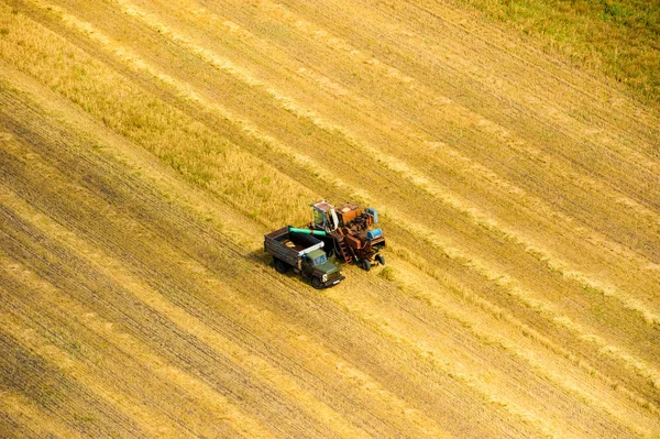 Bir yaz günü çayırların ve tarlaların havadan görünüşü